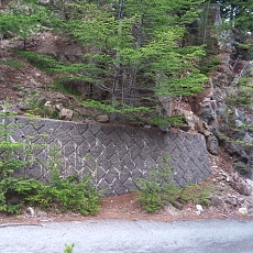 220618_p32.jpg