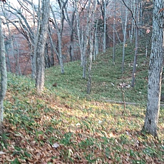 221112_p09.jpg
