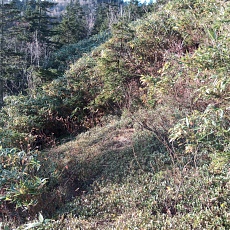 241022_p03.jpg