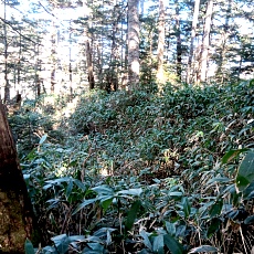 241112_p25.jpg