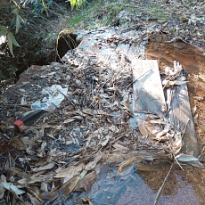 240530_p12.jpg