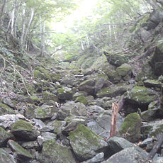 120909_p13.jpg