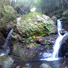 120930_p03.jpg