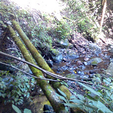 120930_p05.jpg
