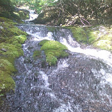 130623_p14.jpg