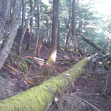 130914_p08.jpg