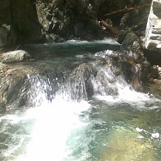 131013_p10.jpg