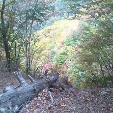 141004_p08.jpg