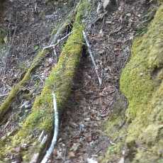 150605_p21.jpg