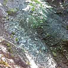 150920-02_p03.jpg