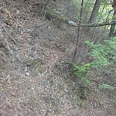 151010_p16.jpg