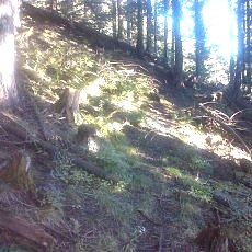 151103_p02.jpg