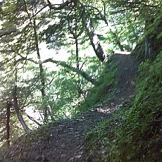 160618_p05.jpg