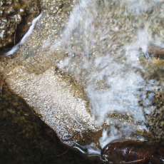 170924_p17.jpg
