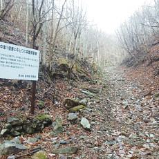 180412_p10.jpg