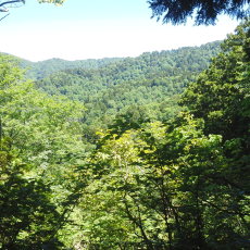 180617_p23.jpg