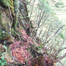 181006_p07.jpg