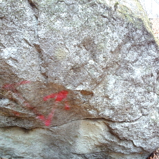 190323_p30.jpg