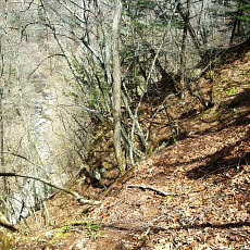 190505_p44.jpg