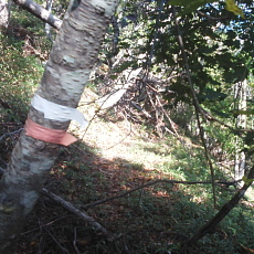 191005_p06.jpg
