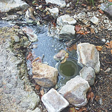 191005_p19.jpg