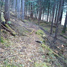 201117_p13.jpg