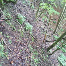 210522_p29.jpg