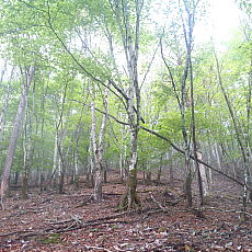 210522_p30.jpg