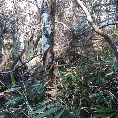 221112_p27.jpg