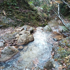 221014_p02.jpg
