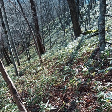 221127_p11.jpg