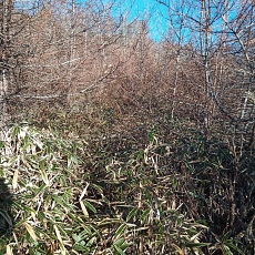 221127_p12.jpg