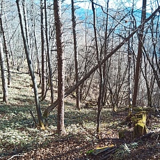 221127_p06.jpg
