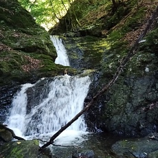 230618_p06.jpg