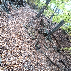231030_p09.jpg