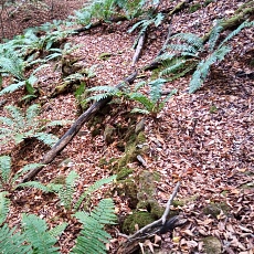 231030_p44.jpg