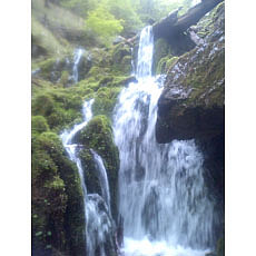 130623_p19.jpg