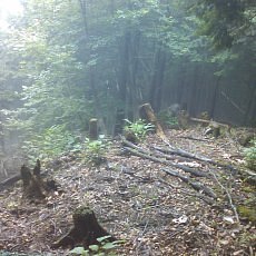 150704_p07.jpg