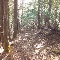 151121_p13.jpg