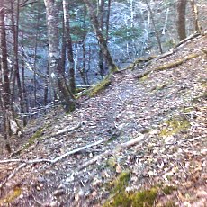 160419-01_p03.jpg