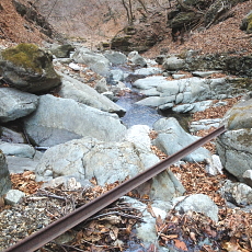 190323_p29.jpg