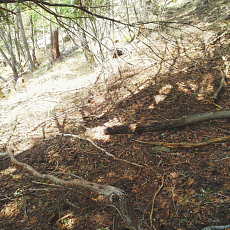 200024_p03.jpg