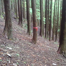 201018_p20.jpg