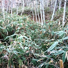 221028_p47.jpg