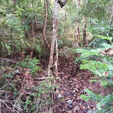 221014_p21.jpg