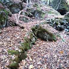231030_p41.jpg