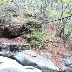 230502_p05.jpg
