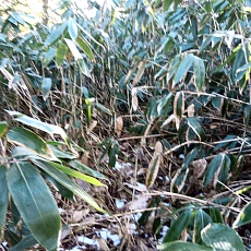 241112_p18.jpg