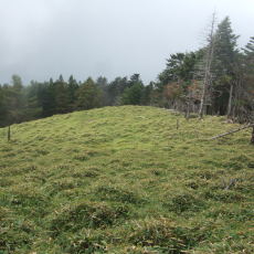 090926_n05.jpg