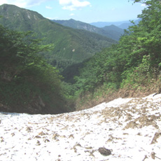 100624_p04.jpg